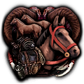 GFX_focus_greg_13