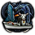 GFX_focus_greg_14
