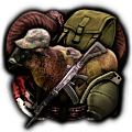 GFX_focus_greg_23