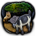 GFX_focus_greg_65