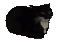 GFX_maxwell_anim
