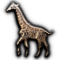 giraffe_race